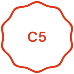 C5 zertifiziertes Hosting