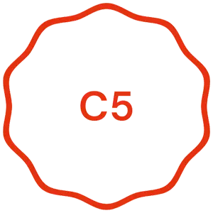 C5 certified hosting