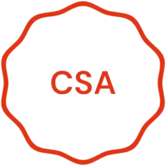 CSA zertifiziertes Hosting