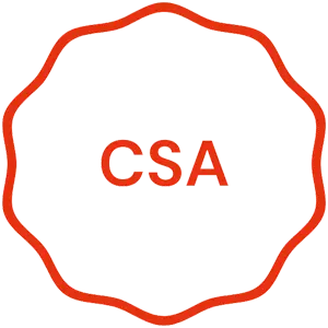 Hébergement certifié CSA